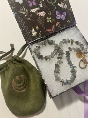 NIB Jane Win Labradorite Natural Necklace in Blue-Gray with Gold Clasp